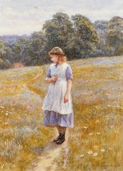 Tagträumer, 1878